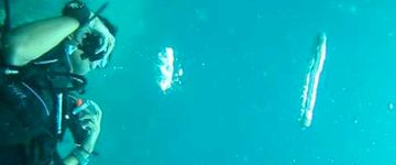 scuba-diving-blowing-bubbles