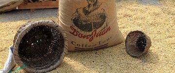 don-juan-coffee-drying-beans-4