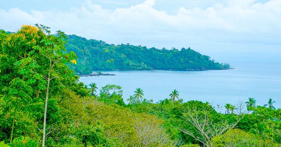 drake bay verdant coastline