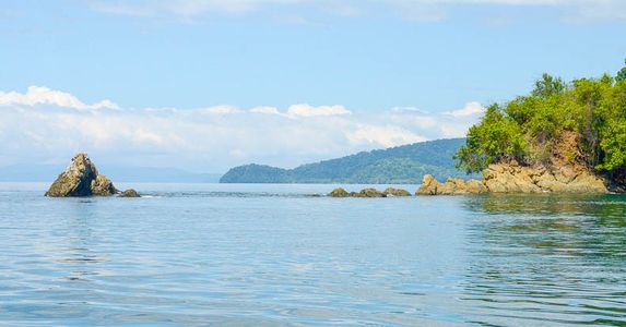 golfo dulce dolphin tour puerto jimenez