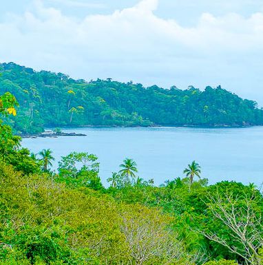 drake-bay-verdant-coastline