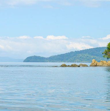 golfo-dulce-dolphin-tour-puerto-jimenez