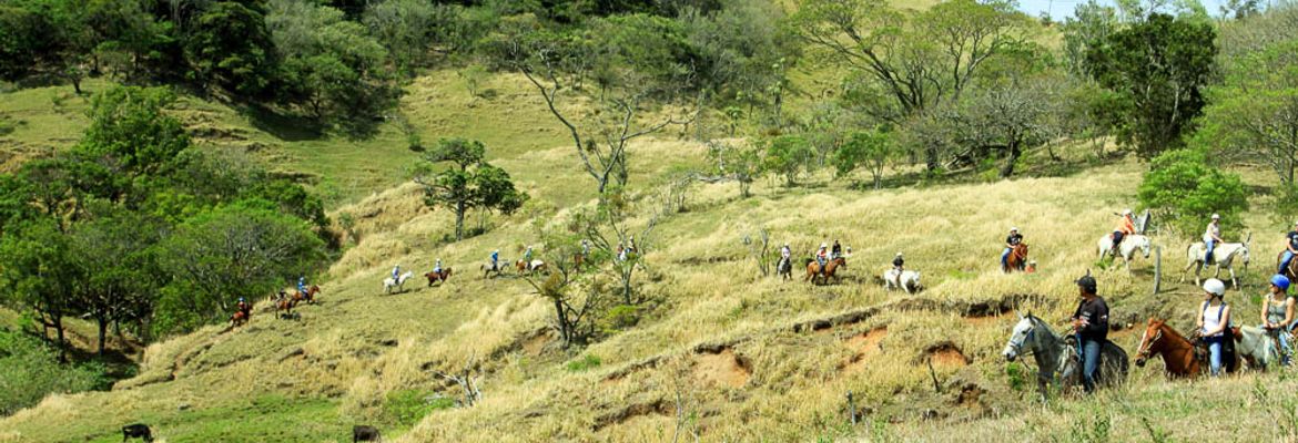 The group of 28 riders wind through the hills along a narrow trail on April 17, 2013