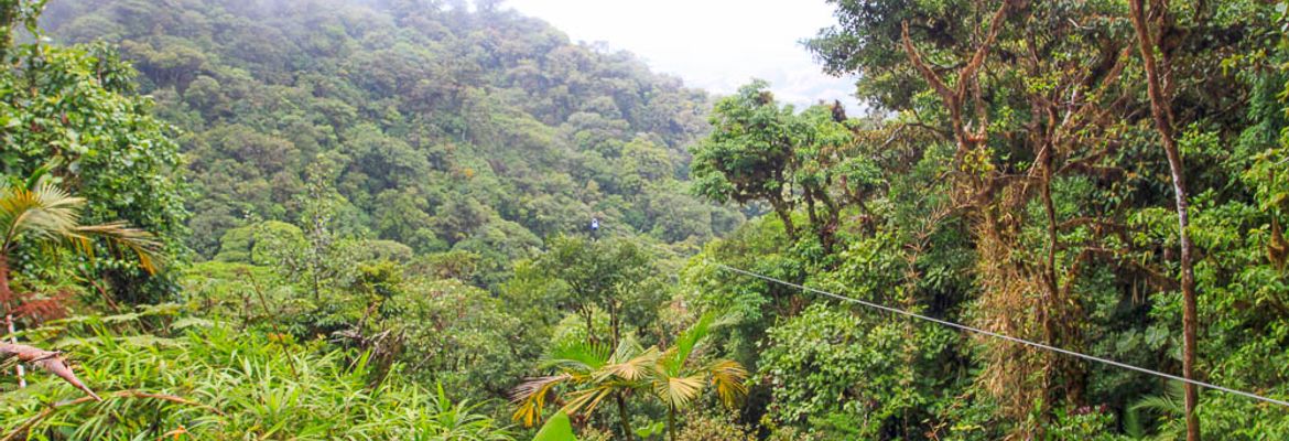 skytrek over a valley 1