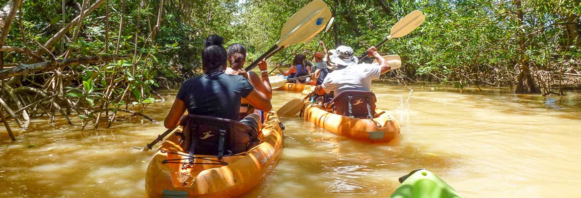 manglar isla mangrove kayak going in 1