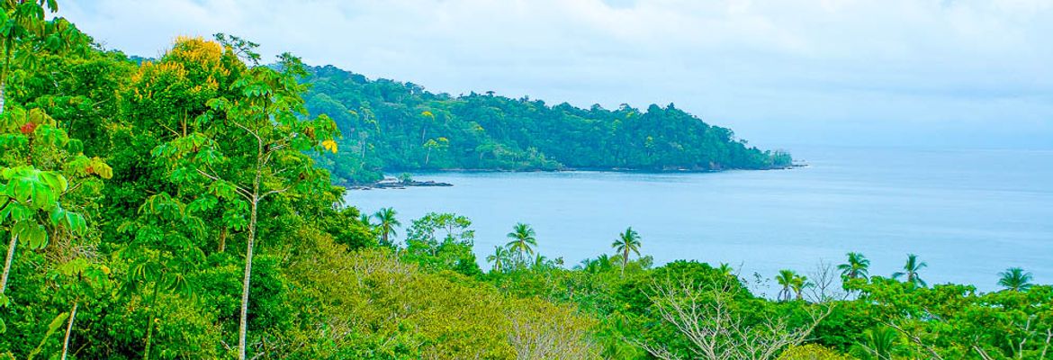 drake bay verdant coastline