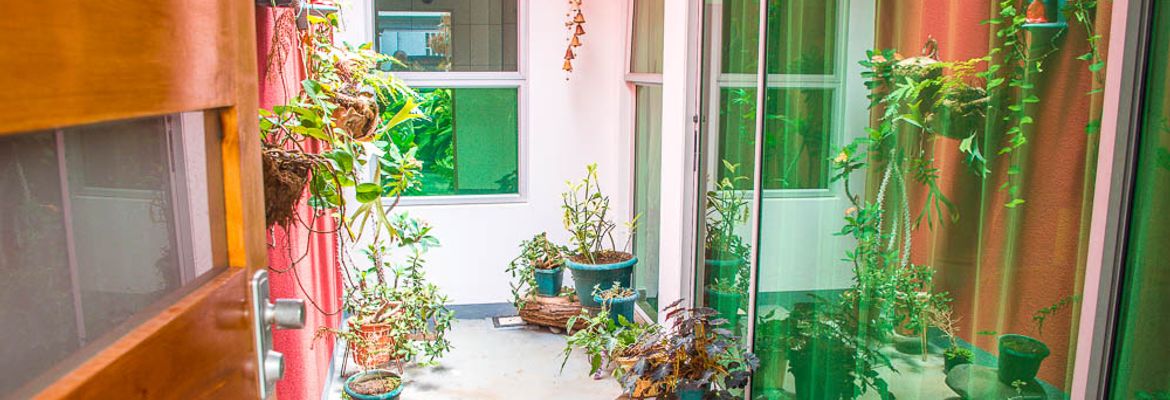 patio with plants moonlight apartment