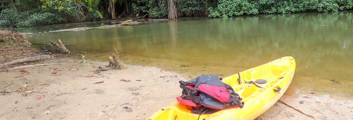 punta uva kayak tour punta uva river 1