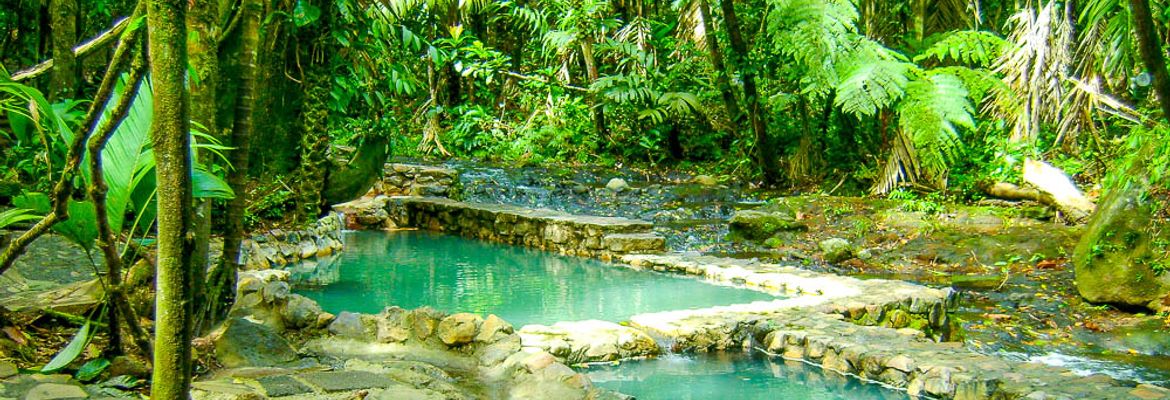 hot springs bosque termales 2