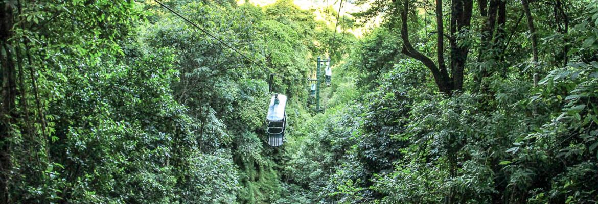 rainforest adventures aerial tram top 1