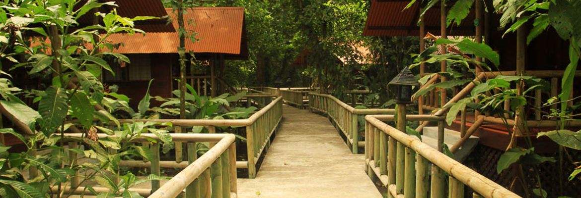 anhinga lodge path 1