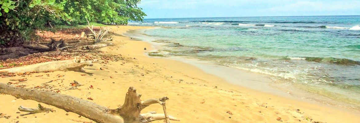 playa chiquita gold sand 1