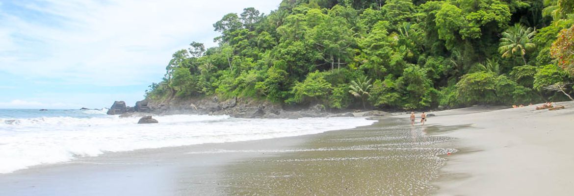 playa playitas manuel antonio shoreline 1