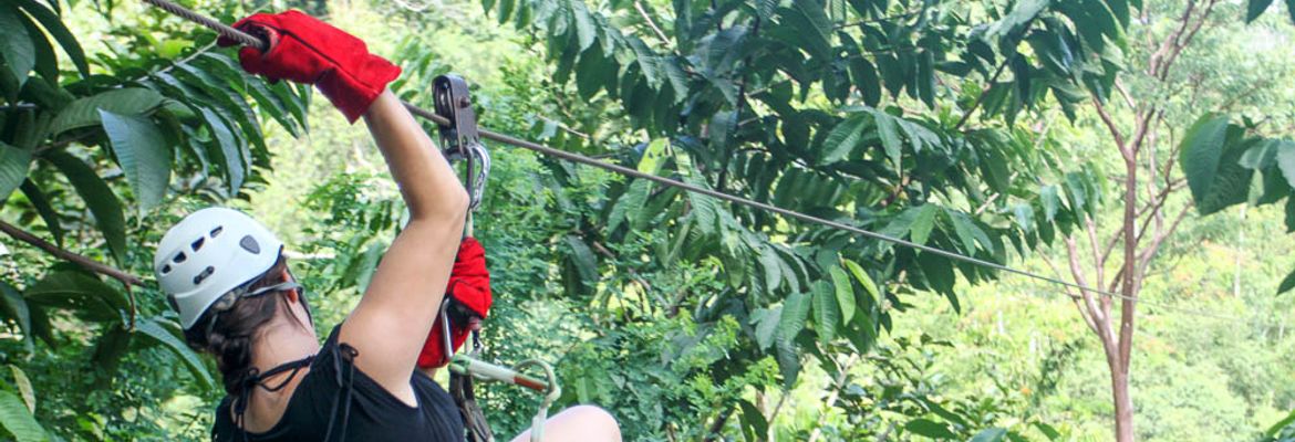 jungle adventure canopy 3