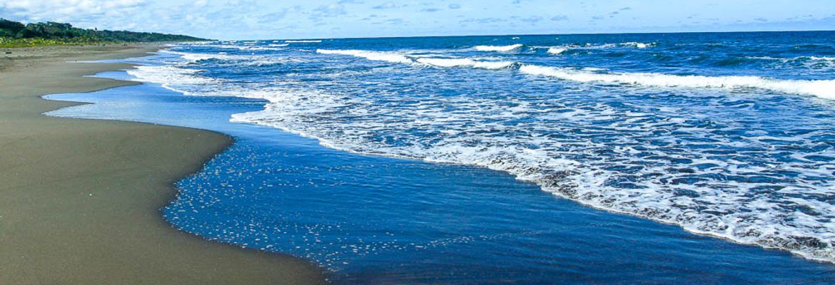 playa grande longview 1