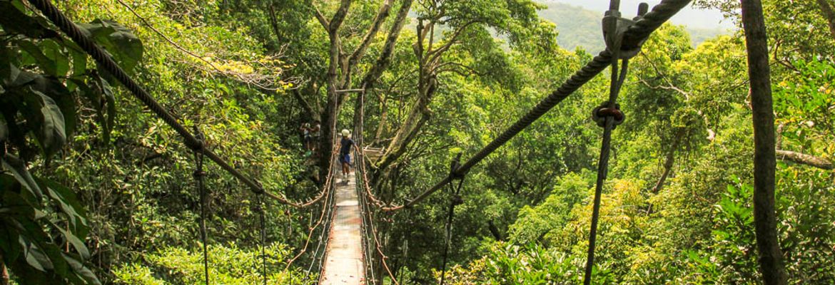 chiclets canopy tour suspension bridge 1