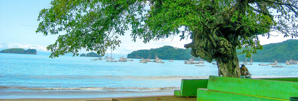 benches fronting coco beach
