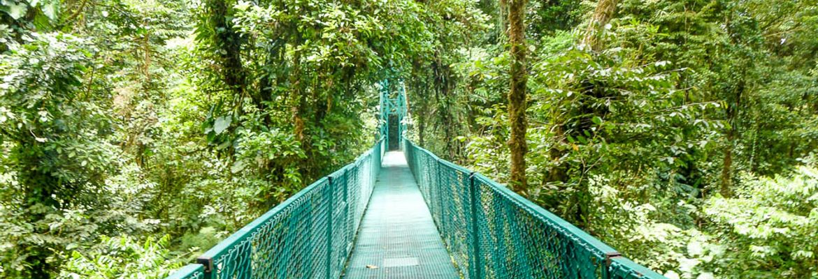 selvetura hanging bridge 1