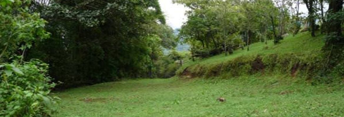 building parcel in alajuela city view 001