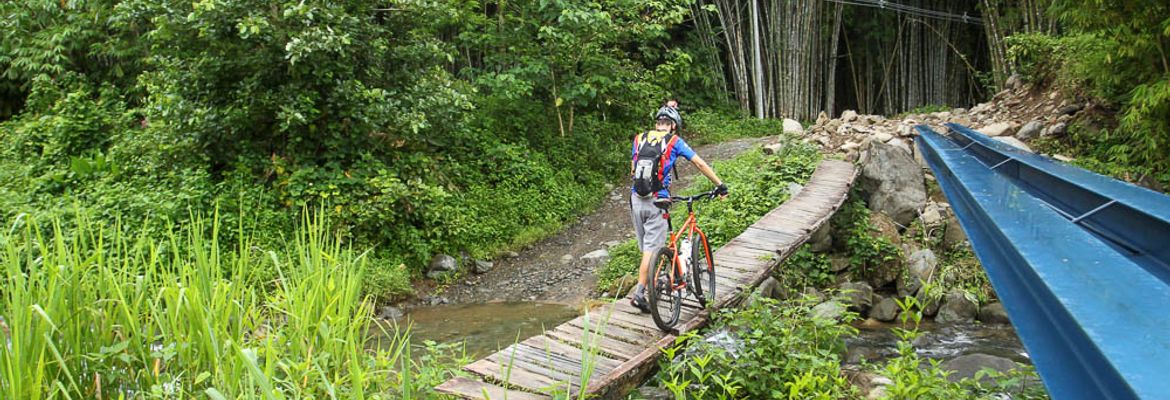 bamboo forest moutain bike tour bridge 1