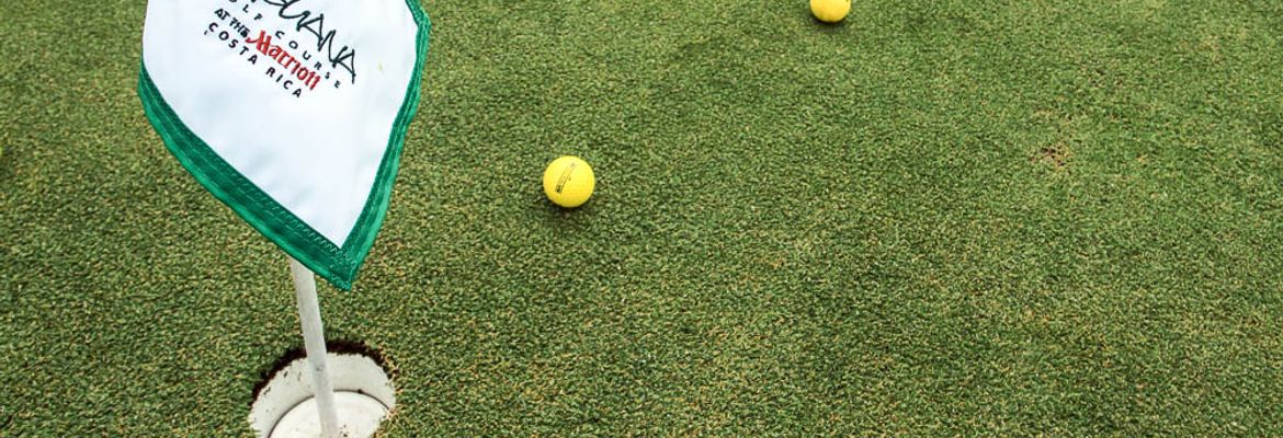 golf lesson las iguanas flag 1