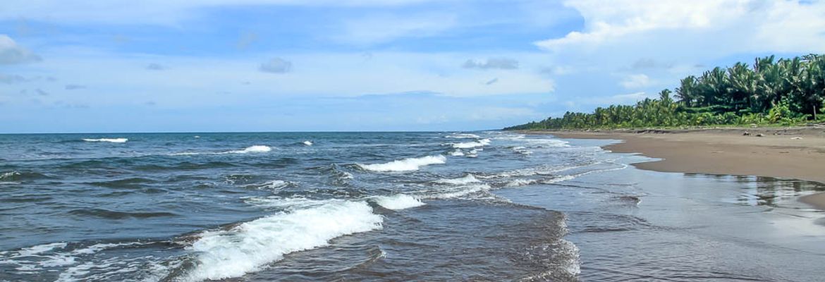 tortuguero beach attraction long view 1