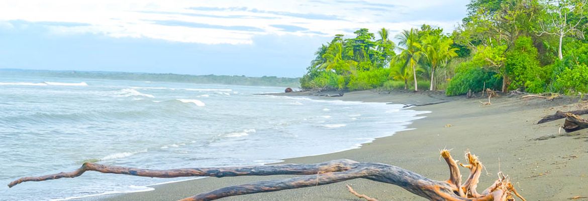 beach at sirena ranger station