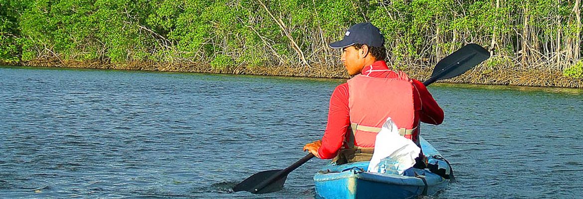 kayaking tamarindo estuary