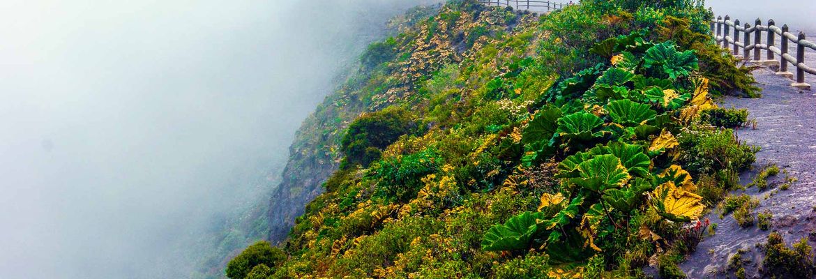 Irazu foggy main crater