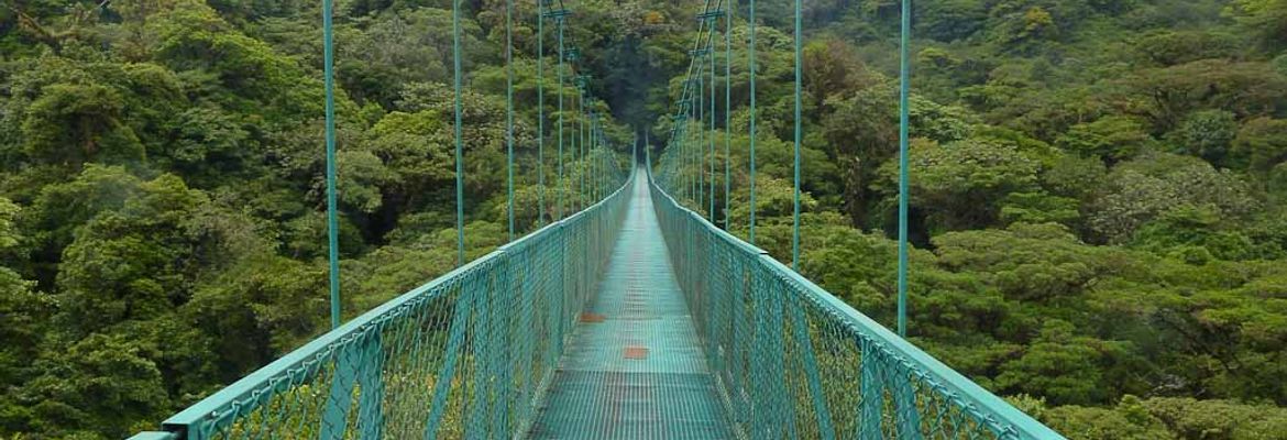 selvetura hanging bridges