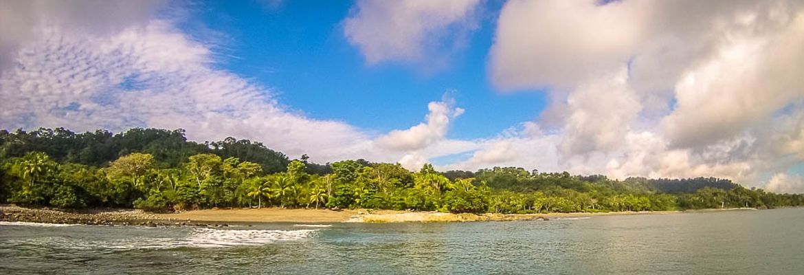 backwash shore on a sup lesson