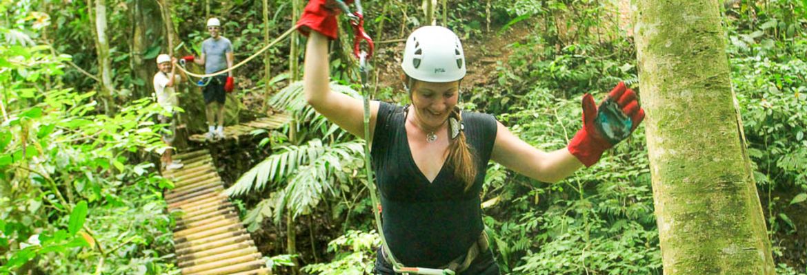 jungle adventure bridge 1