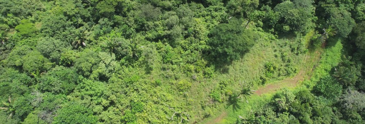 blue zone sanctuary lot b58 aerial view