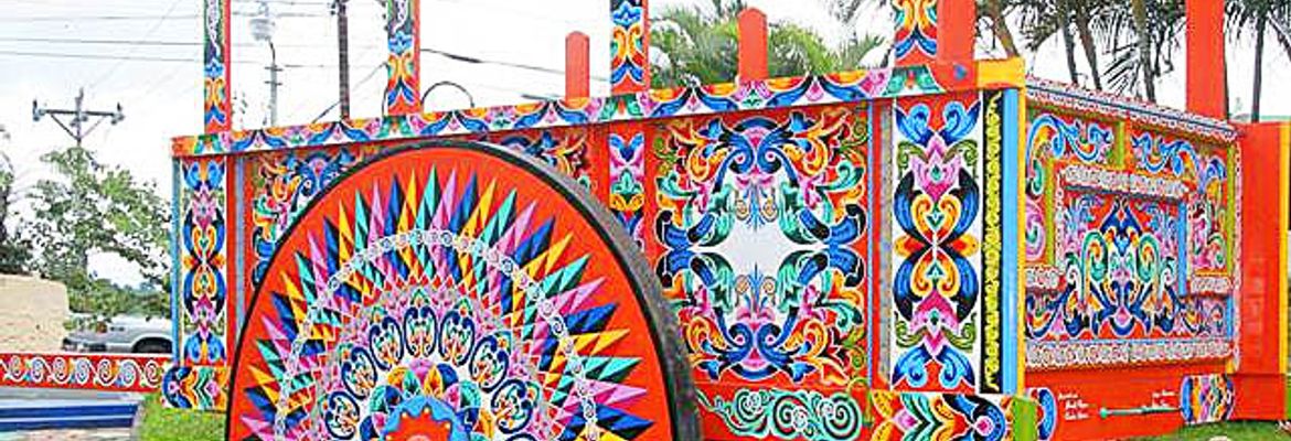 mammoth oxcart sarchi