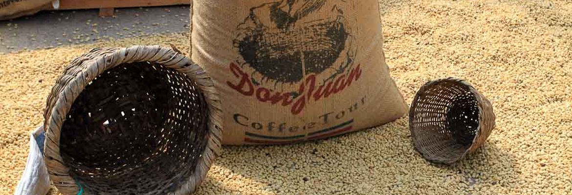 don juan coffee drying beans 4