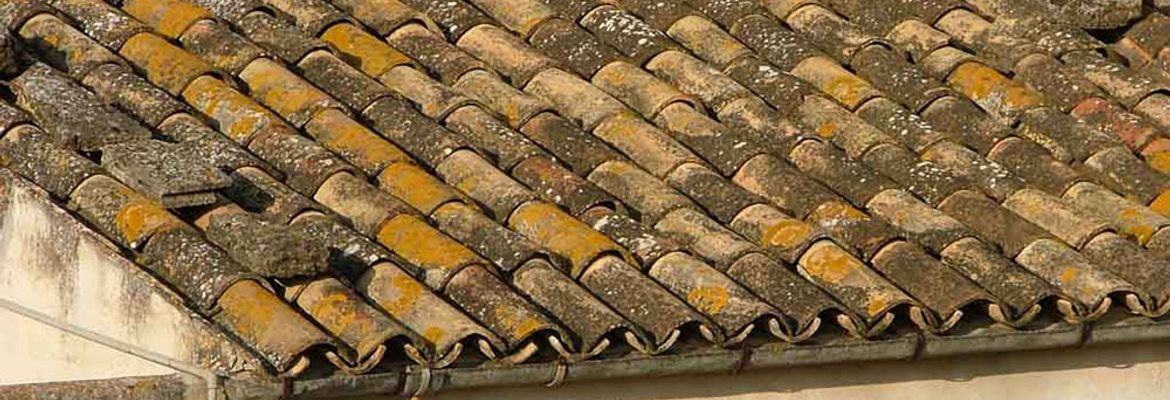 tiled roof