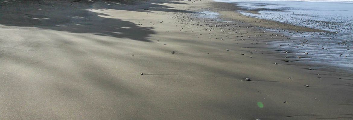 hermosa beach attraction dominical coast 1