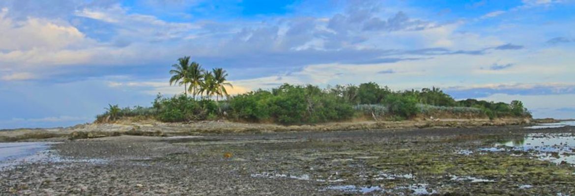 cabuya island cabuya at low tide