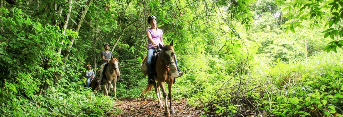 discovery horseback tour rainforest 1