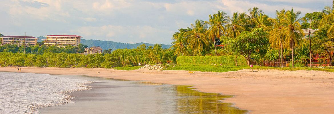 flamingo beach white sands