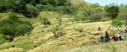 The group of 28 riders wind through the hills along a narrow trail on April 17, 2013. 