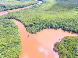 aerial view tamarindo estauary canals