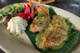 amimodo citrus snapper 6