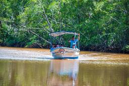 boat on a tour in the tamarindo estuary