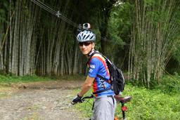bamboo forest moutain bike tour forest 2
