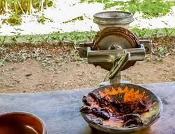 cacao grinder finca kobo chocolate tour