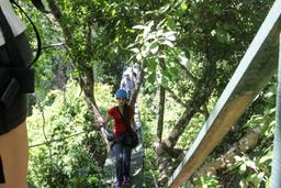 suspension bridge sun trails canopy tour