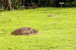 finca 6 sphere park two stones aligned