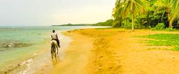 terraventuras beach horseback ride cocles 1