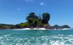 jungle coast jets island 4